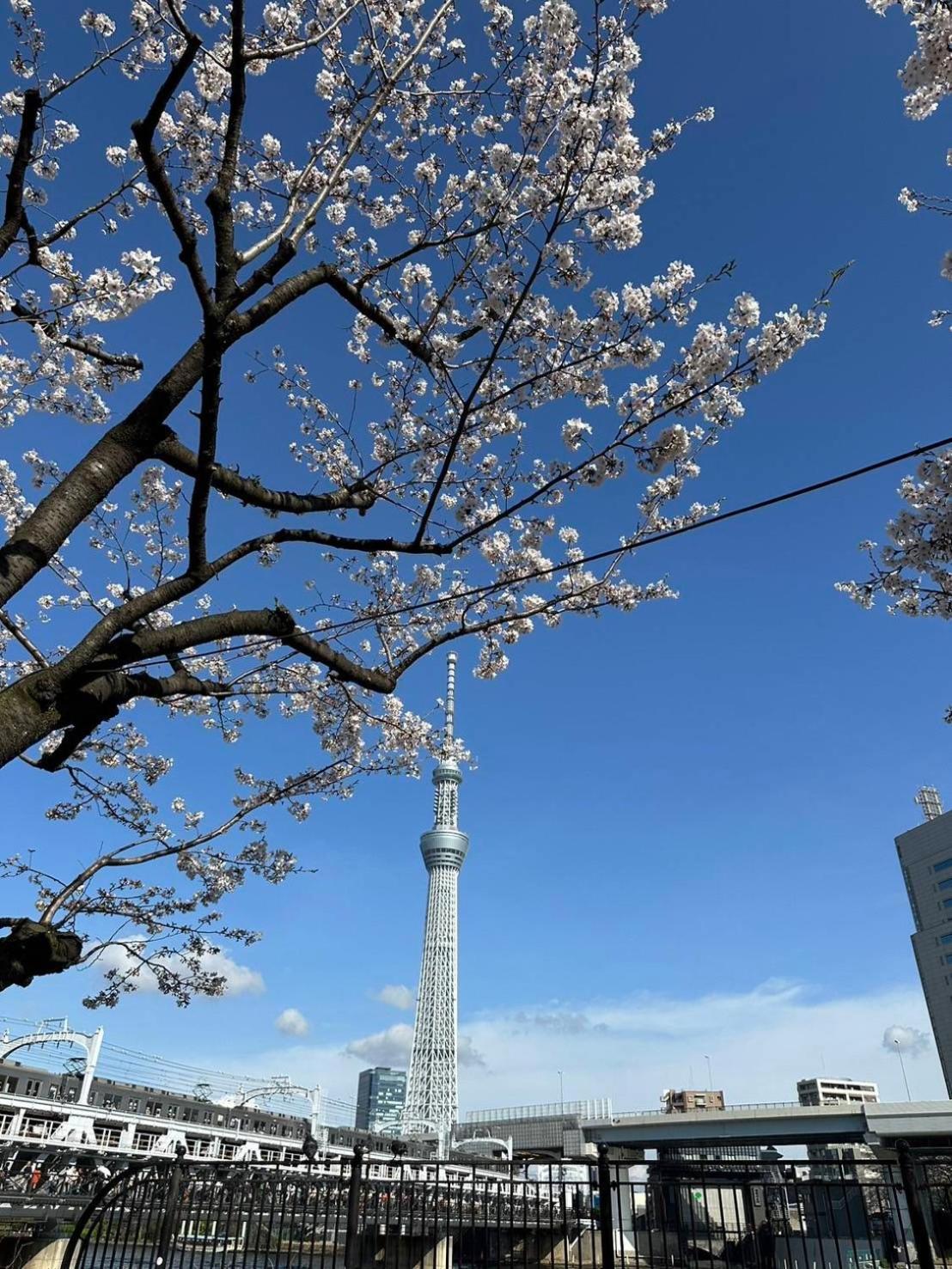 東京雷門ー千の森asakusa Präfektur Tokio Exterior foto